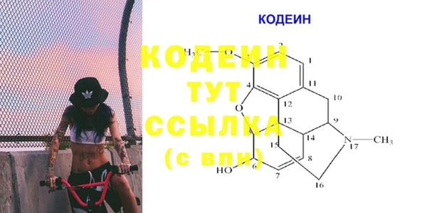 ГАЛЛЮЦИНОГЕННЫЕ ГРИБЫ Ладушкин