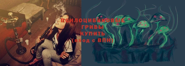 Альфа ПВП Лабытнанги