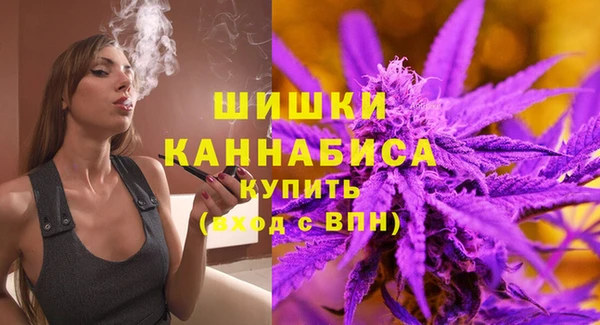 ГАЛЛЮЦИНОГЕННЫЕ ГРИБЫ Ладушкин