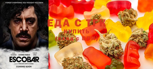 ГАЛЛЮЦИНОГЕННЫЕ ГРИБЫ Ладушкин