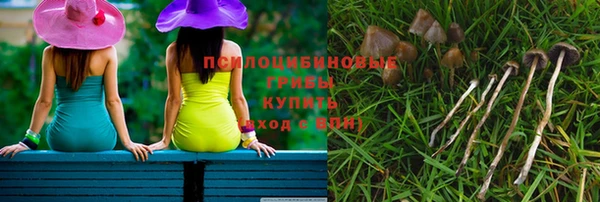 ГАЛЛЮЦИНОГЕННЫЕ ГРИБЫ Ладушкин